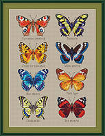 Набір для вишивки хрестиком Little stitch Сет метеликів