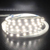 LED лента BIOM G. 3 SMD2835-60 12V IP20 Премиум Белая 1м