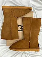 Женские ботинки UGG Classic Tall II Boot Caramel (Распродажа) угги