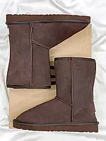 Женские ботинки UGG Classic Tall II Boot Brown (Распродажа) угги