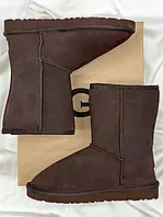 Женские ботинки UGG Classic Short Brown Mocha (Распродажа) угги