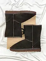 Женские ботинки UGG Classic Short Brown Umber (Распродажа) угги