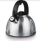 Чайник зі свистком Polaris Alicante 3л (014798)