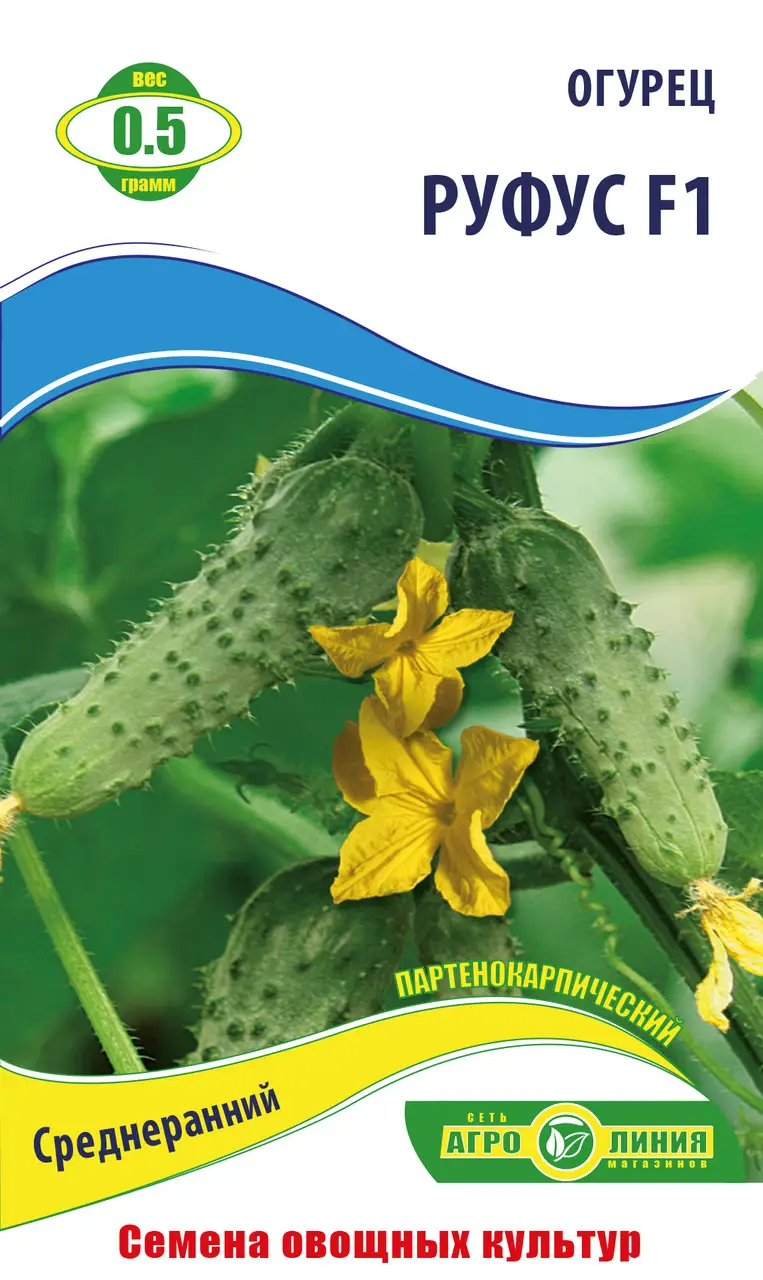 Насіння огірка "Руфус F1" 0.5 г, партенокарпічний (тм Агролінія)