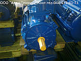 Електродвигун АИММ 225М2, 55 кВт 3000 об/хв, фото 2