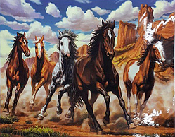 Алмазна вишивка. Картина на підрамнику "Вільний дух" , розмір 40х50см