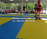 Синьо-жовті татамі 20мм, 1м*1м | м'яка підлога пазл, буд мат, фото 7