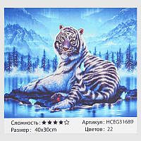 Картины по номерам 40х30см TK Group Белый тигр, на подрамнике с красками, кистями, 31689