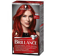 Schwarzkopf BRILLANCE 842 КУБА Спекотна ніч (4015000509855)