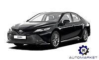 Оригинал Решетка Бампера переднего -2020 (LE, XLE) Toyota Camry 2017- (XV70) Тойота Камри 70