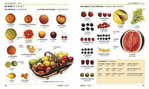 Spanish-English Bilingual Visual onglish / Словник іспанської мови ілюстрований, фото 5