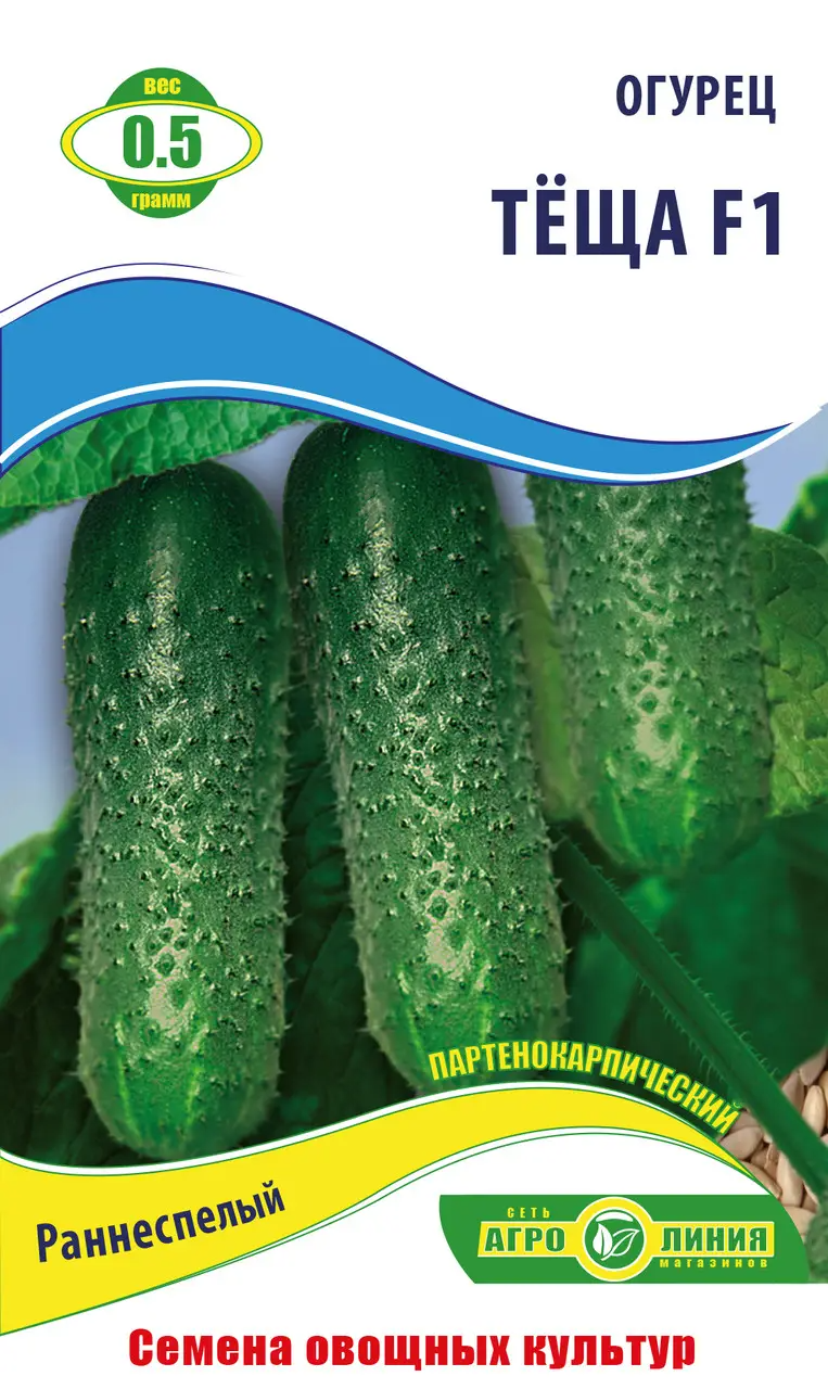 Насіння огірка "Теща F1" 0.5 г, партенокарпічний (тм Агролінія)