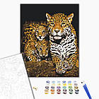 Картина за номерами Brushme, Нічні леопарди 40х50 см, фото 2