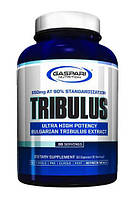 Підвищення рівня тестостерону Gaspari Nutrition Tribulus 90 капсул