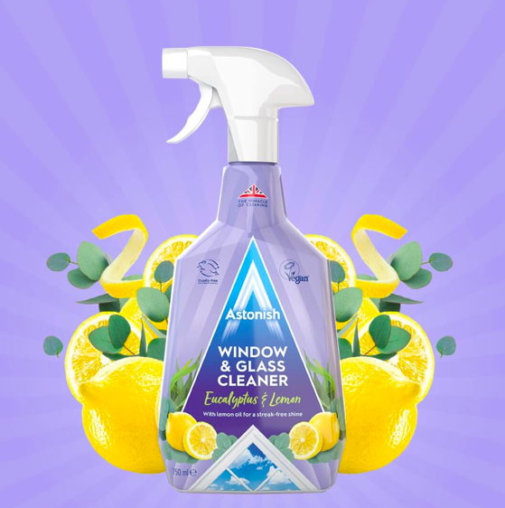 Засіб для чищення вікон і дзеркал Astonish 750 ml, фото 1