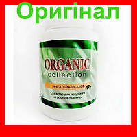 Wheatgrass - средство для похудения из ростков пшеницы от Organic Collection (Витграсс)