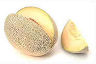 Насіння дині