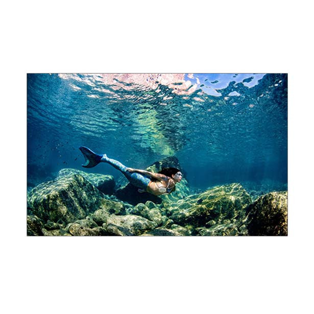 Флора Морская Наклейка в Аквариум 55х90 См. — Купить Недорого на Bigl ...