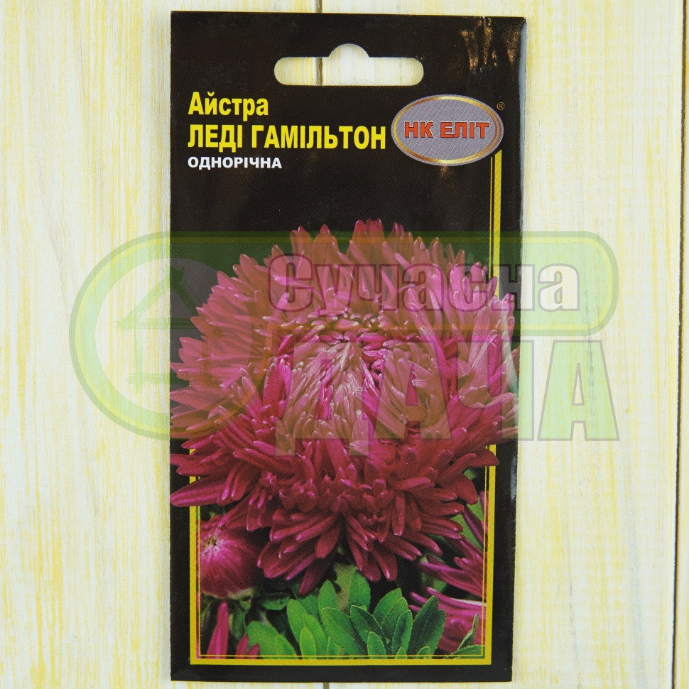 Айстра "Леді Гамільтон 0,3г 8*15 NEW /піоновидна, червона/, фото 1