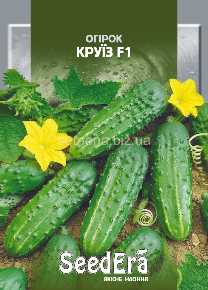 КРУІЗ 5 г Seedera