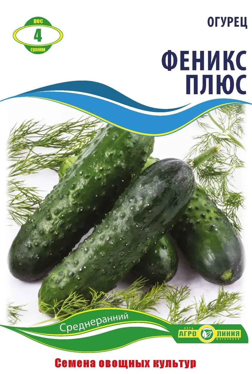 Насіння огірка "Фенікс плюс" 4 г (тм Агролінія)