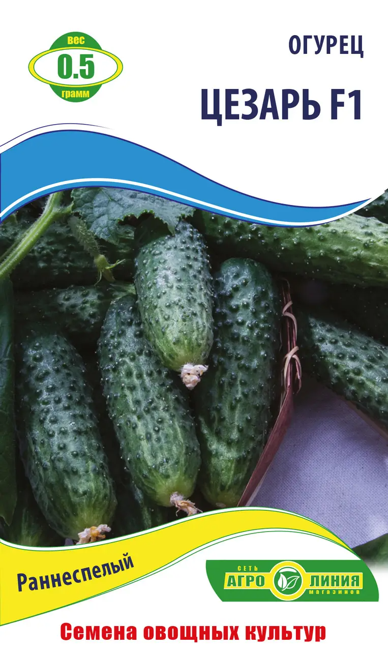Насіння огірка "Цезар F1" 0.5 г (тм Агролінія)