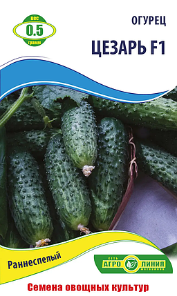 Насіння огірка "Цезар F1" 0.5 г (тм Агролінія), фото 1