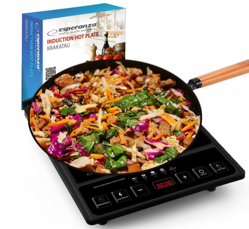 Настільна індукційна плита Esperanza EKH011 (2000 Вт, Польща), фото 1