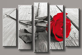 Модульна картина на полотні з 5 частин "Стильна троянда"