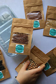 Набір для вирощування мікрозелені на 6 культур