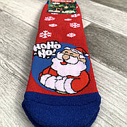 Новорічні шкарпетки жіночі махрові бавовна Слід Лева, розмір 36-39, асорті, 223020, фото 4