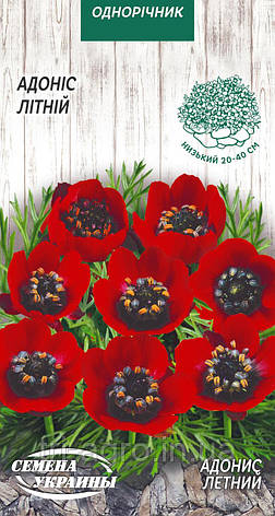 Адоніс літній 1г ТМ Насіння України, фото 1