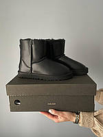 Женские зимние сапоги UGG Mini Zip (чёрные) короткие стильные модные угги с замком сзади S954 cross 37