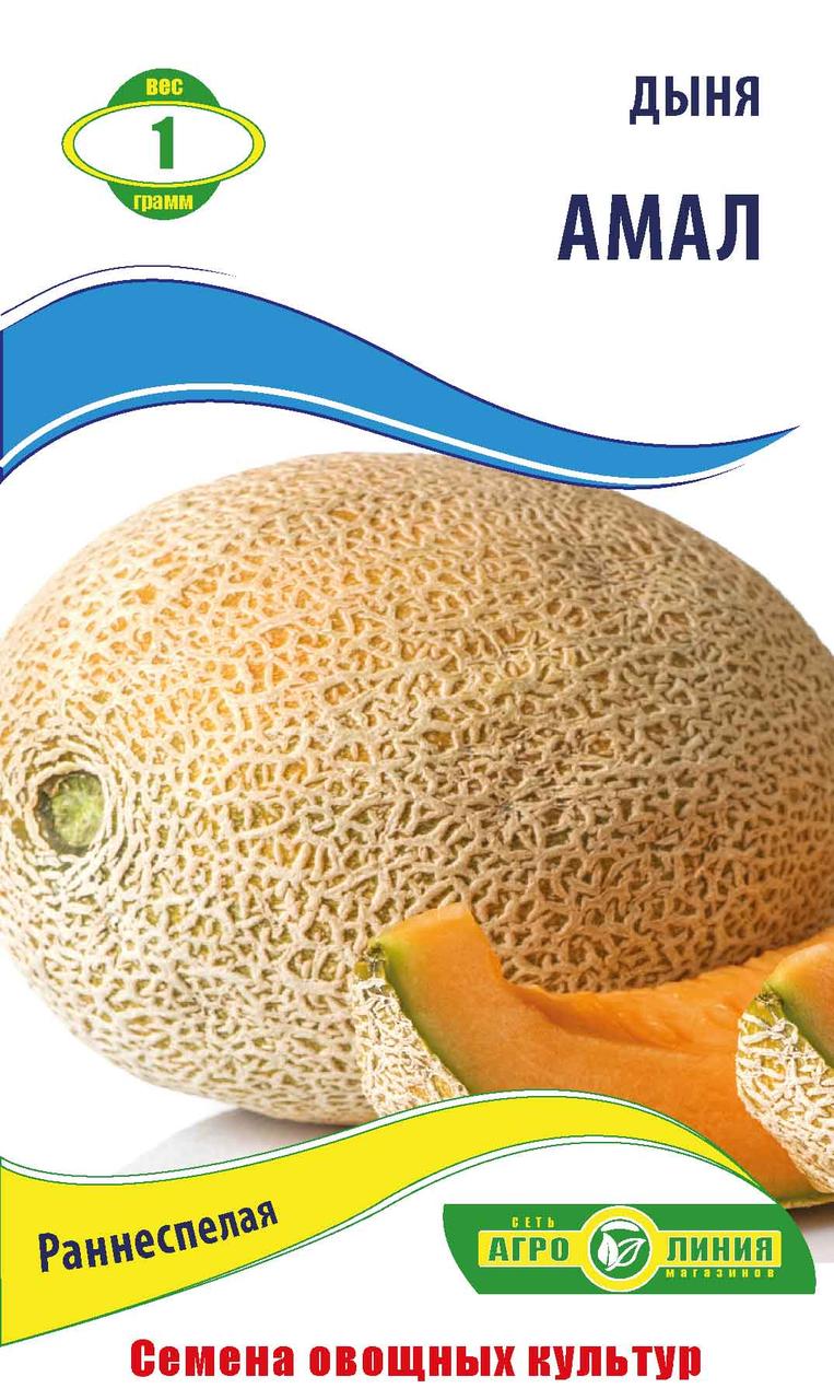 Насіння дині «Амал» 1 г