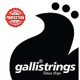 Струни для класичної гітари Gallistrings GR90 HARD TENSION, фото 2