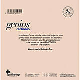 Струни для класичної гітари Gallistrings GR90 HARD TENSION, фото 3
