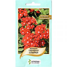 Насіння вербени "Спаркл" (0,1 г) від Legutko, Польща