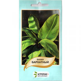 Насіння банана "Оксамитовий" (5 шт.) від Legutko, Польща