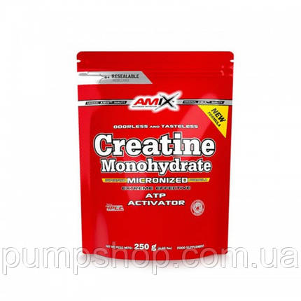 Креатин моногідрат Amix Nutrition Creatine Monohydrate 250 г, фото 2