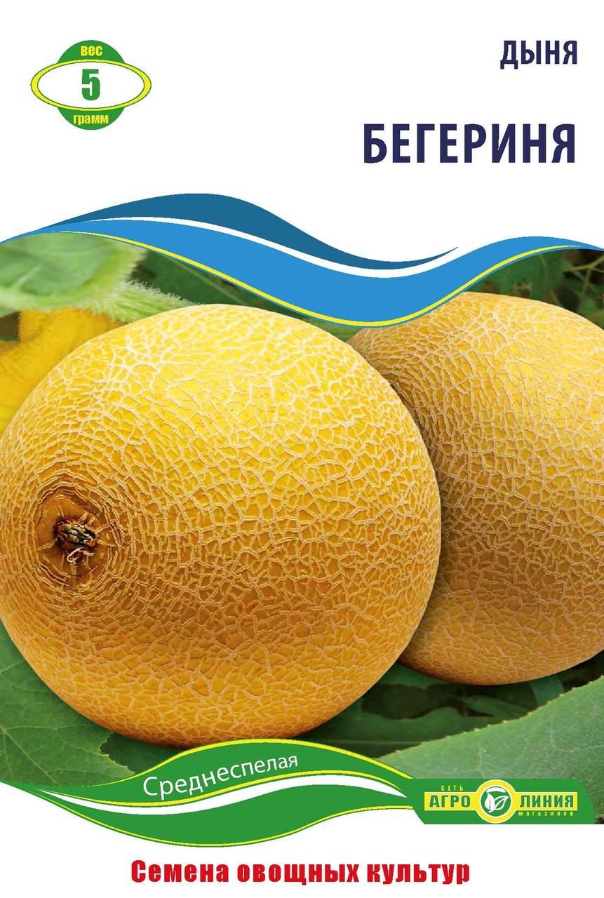 Насіння дині «Беселка» 5 г