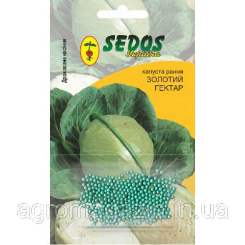 Капуста "Кам'яна голова" (здня) 100 шт.