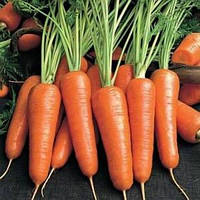 Семена морковь "Королева Осени" 5кг позднеспелый урожайный сорт весовые семена морковь Королева осень