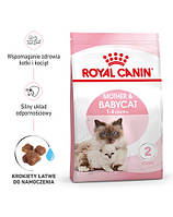 Сухий корм для кошенят до 4 місяця ROYAL CANIN Mother&Babycat 4 кг