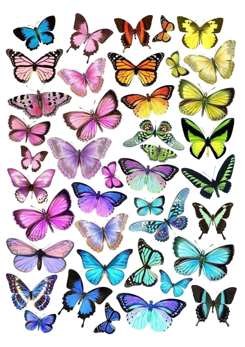 Вафельна картинка Метелики №4