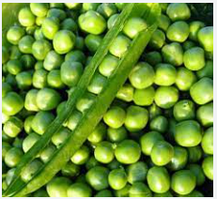 Горох Стайл 100 г НК ЕЛІТ