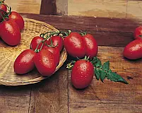 Томат Ріо Гранде 0,5 г ТМ Професійне насіння, фото 2