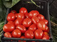 Томат Ріо Гранде 0,5 г ТМ Професійне насіння, фото 3