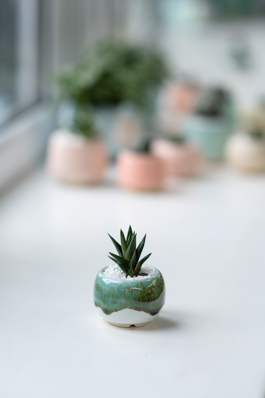 Набор маленьких керамических горшков для кактусов, суккулентов, коллекция Изумруд - фото 2 - id-p1213855702