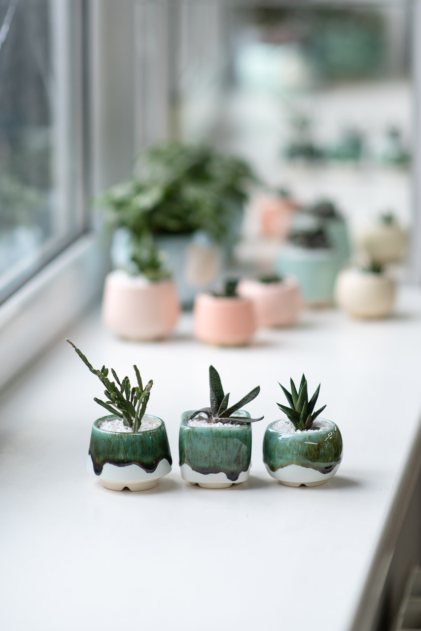 Набір маленьких керамічних горщиків для кактусів, сукулентів, колекція Смарагд