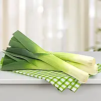 Цибуля порей Булгарі Гігант 0,5 г ТМ Професійне насіння, фото 2